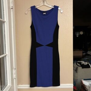 Venus Purple and Black Dress